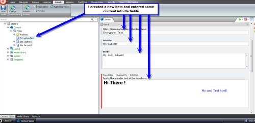 encryption test item