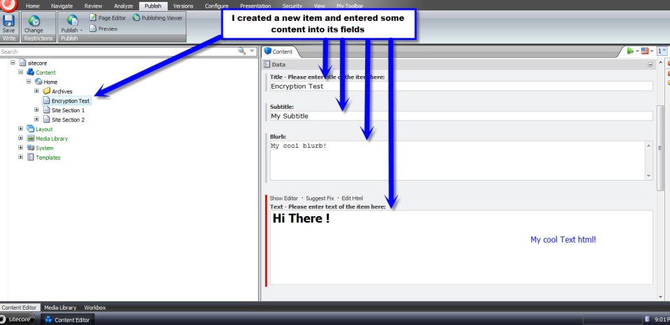 encryption test item