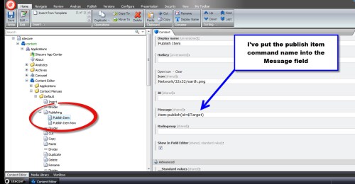 Publish Item Context Menu Button