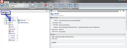Publishing Context Menu 1