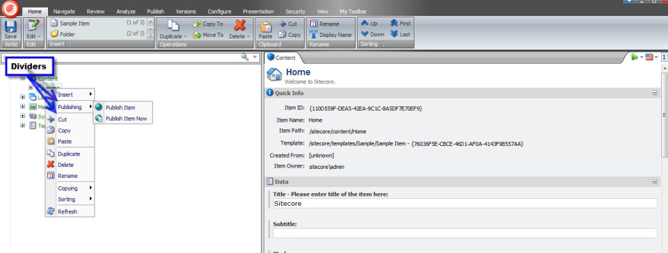 Publishing Context Menu 1