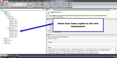 Subitems Copies One Level