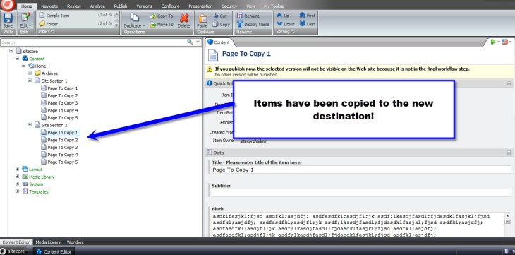 Subitems Copies One Level