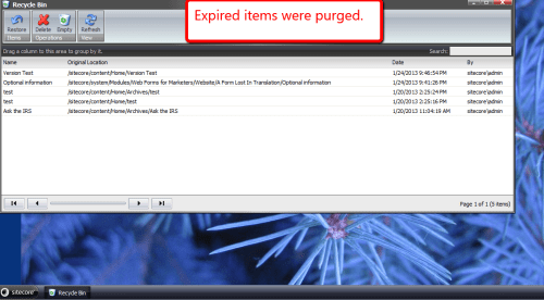 after-recycle-bin-agent-runs-master