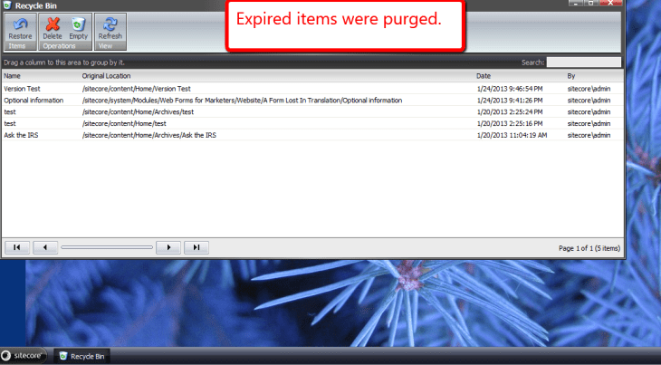 after-recycle-bin-agent-runs-master