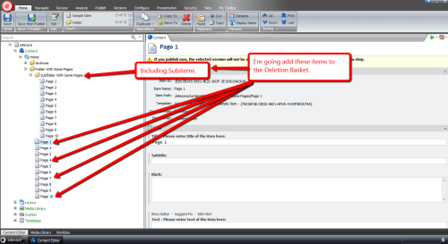 Add-A-Bunch-Of-Items-Deletion-Basket