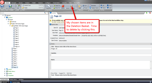 chosen-items-basket-delete