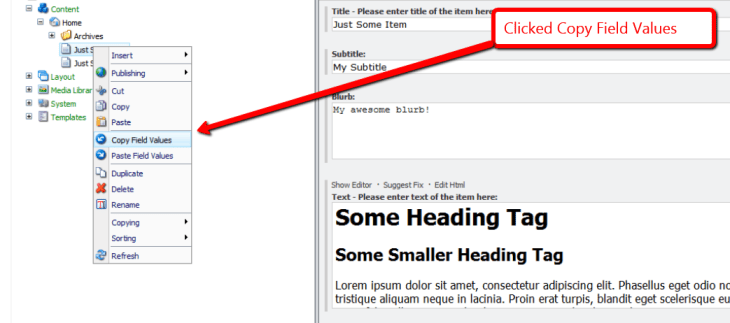 clicked-copy-field-values