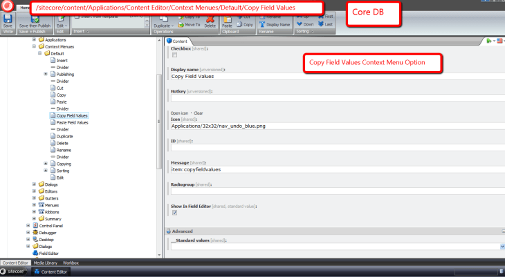 copy-field-values-context-menu-option