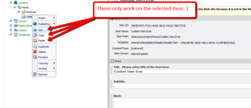 cut-copy-paste-context-menu