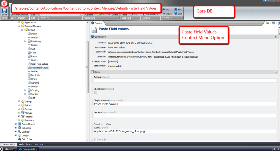 paste-field-values-context-menu-option