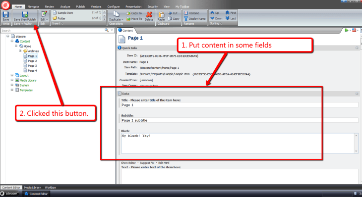 save-and-publish-item