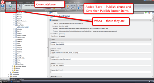 save-publish-chunk-button