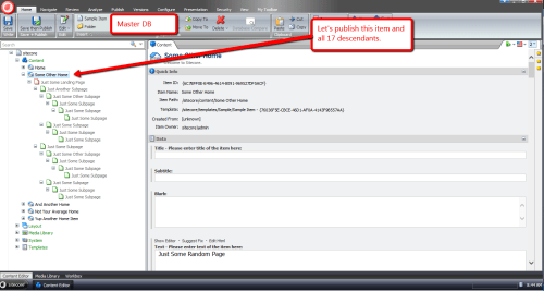 master-items-to-publish