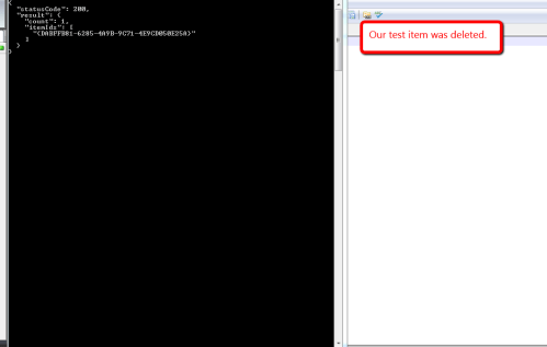 test-item-delete-console-response