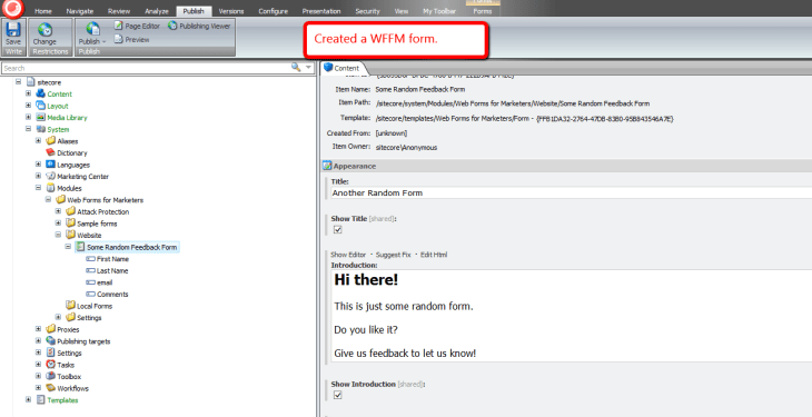the-form-in-sitecore