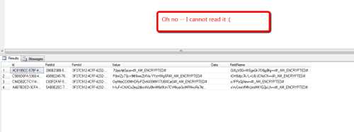 the-form-submission-encrypted-db