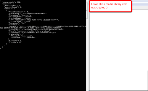 pizza-created-result