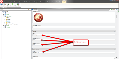 pizza-in-media-library