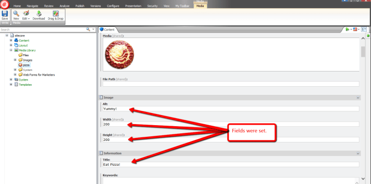 pizza-in-media-library