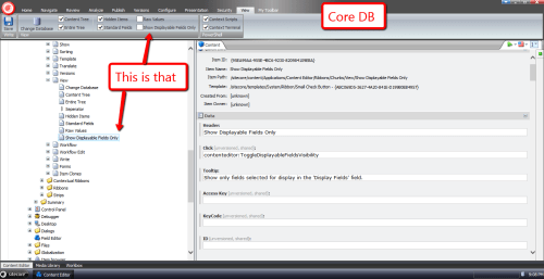 show-displayable-fields-checkbox-defined
