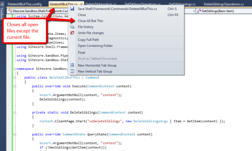 close-all-but-this-vs