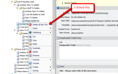delete-all-but-this-context-menu