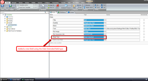 new-field-date-extended-type