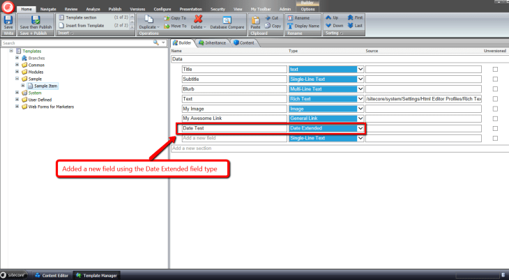 new-field-date-extended-type
