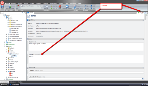 coffee-dictionary-entry-set-danish