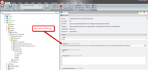 set-custom-field-type
