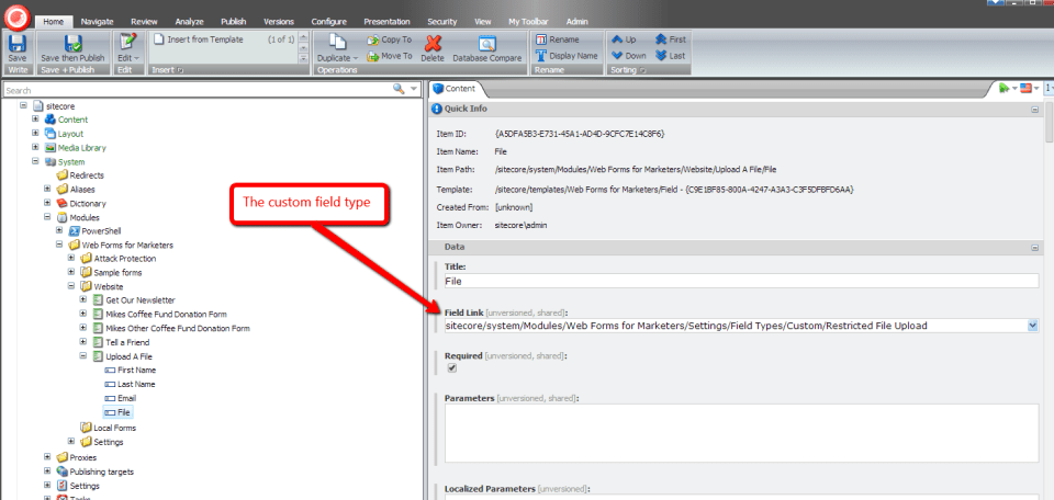 set-custom-field-type