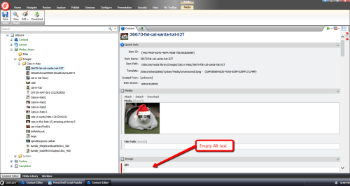 go-to-an-image-no-alt-text