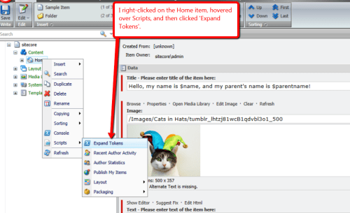home-item-context-menu-expand-tokens