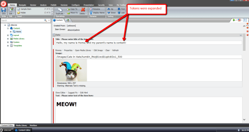 home-tokens-expanded