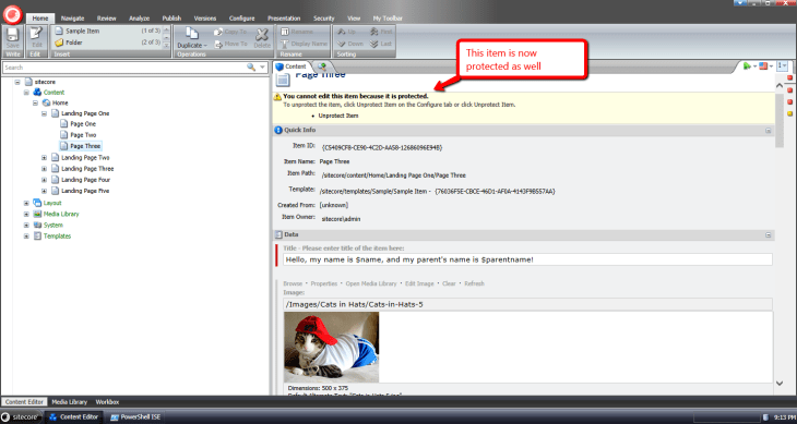 protected-page-three