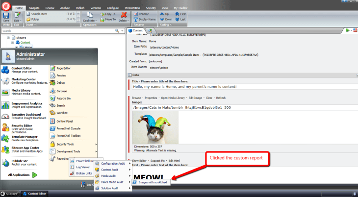 went-to-custom-report