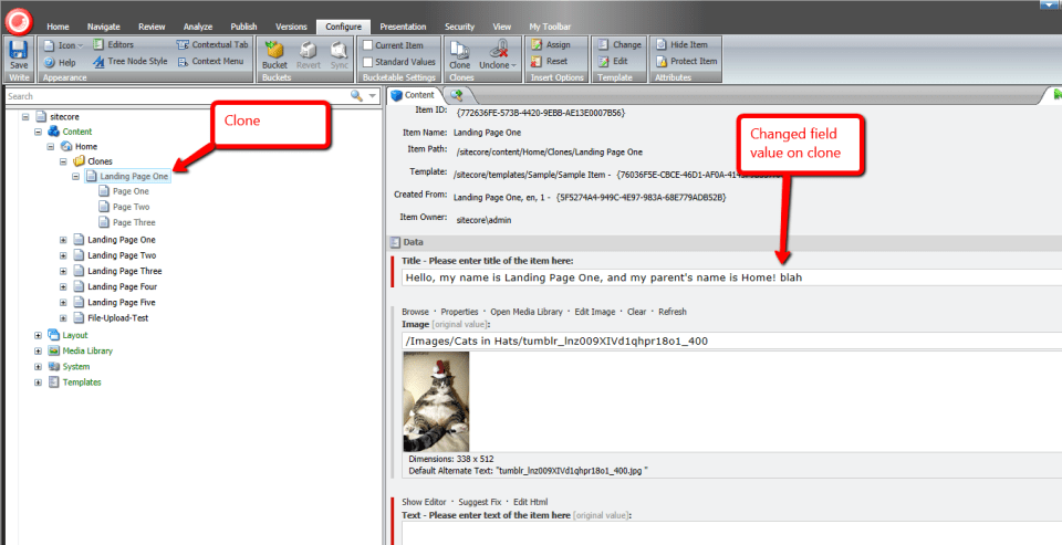 changed-field-value-on-clone