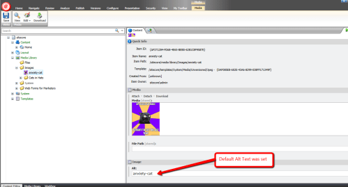 default-alt-text-set