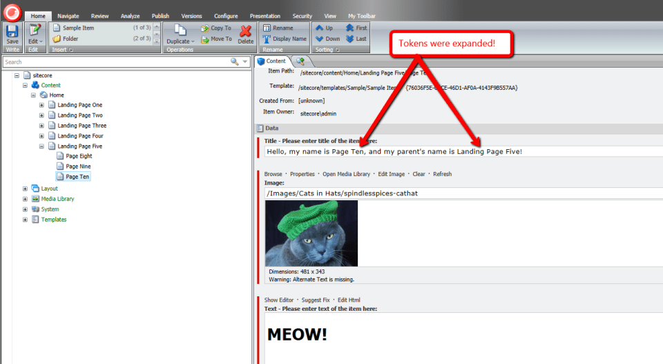 descendant-tokens-expanded