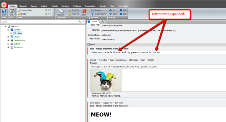 home-tokens-expanded