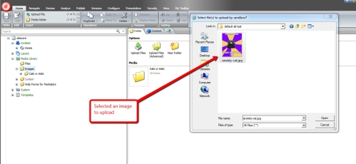 selected-image-upload
