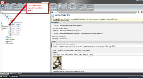 source-clone-approve