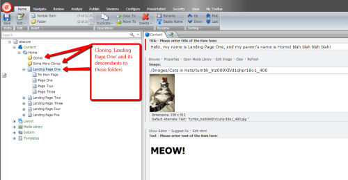item-to-clone-destinations