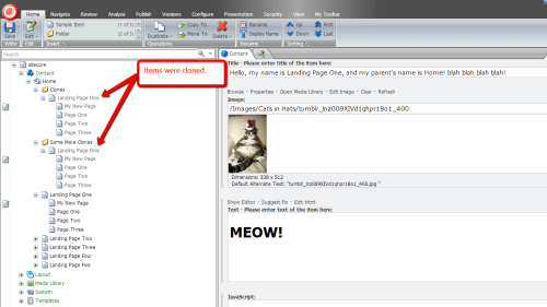 items-cloned-sitecore