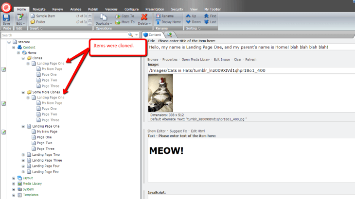 items-cloned-sitecore