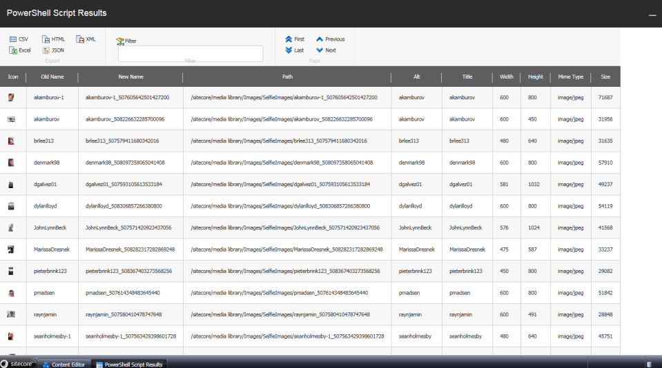 selfie-toolbox-script-results