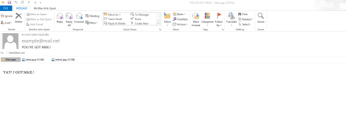 with-attachments-email