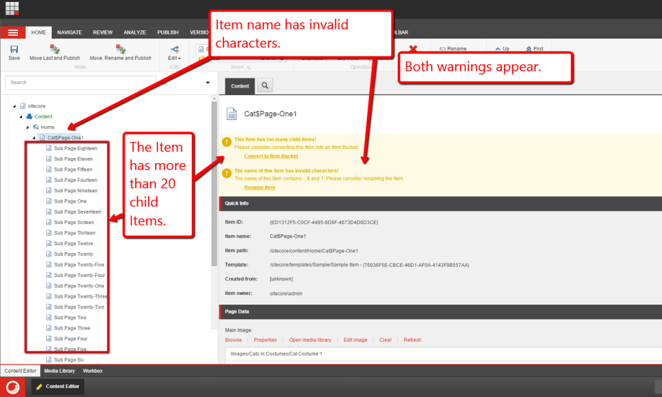 both-warnings-appear