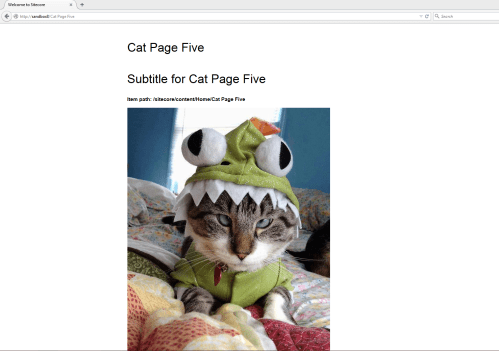 cat-page-five